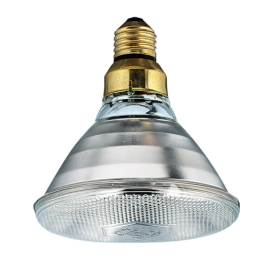 ONCE HEAT LAMP BULB - 125W