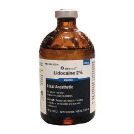 Lidocaine 100 mL