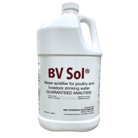 BV SOL - GALLON