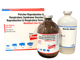 Prevacent PRRS 