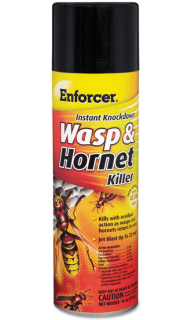 WASP AND HORNET SPRAY 16OZ