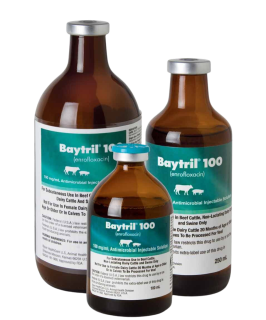 Baytril&reg; 100 injectable for Swine 