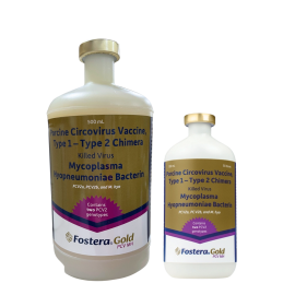 Fostera Gold PCV MH