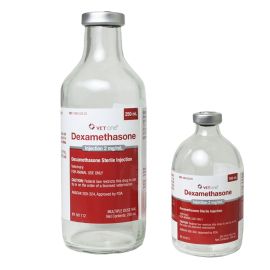 Dexamethasone 2mg/mL