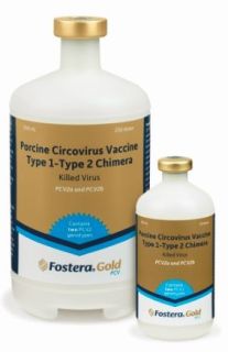 Fostera Gold PCV