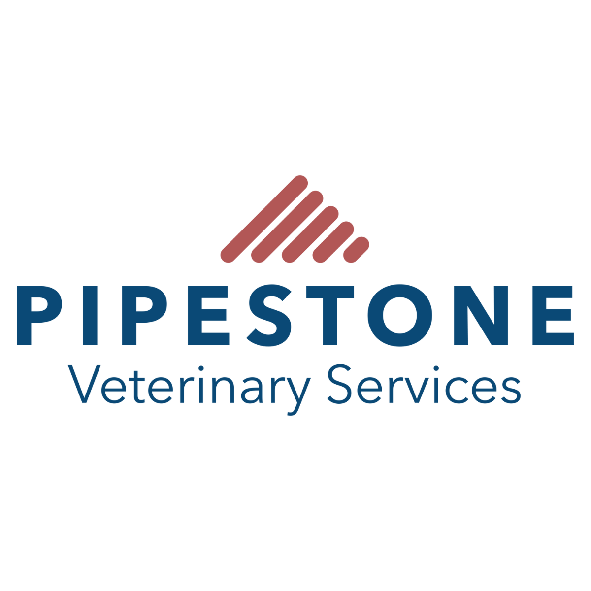 SAFE-GUARD DEWORMER - 10 LITER