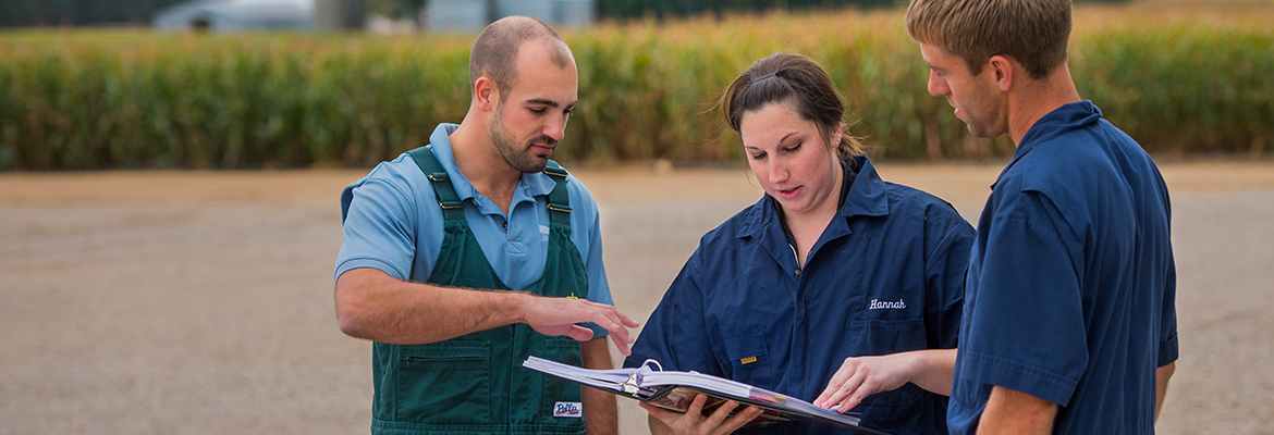 Swine Veterinarians - Research 