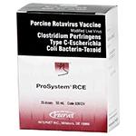 Prosystem RCE