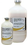 Porcine Epidemic Diarrhea Vaccine