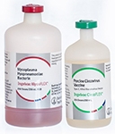 Flex Combo – Circo/Myco