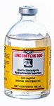 Lincomycin 300