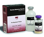 Prosystem Rota &ndash; Piglet