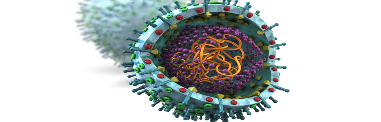 Porcine Reproductive and Respiratory Syndrome Virus