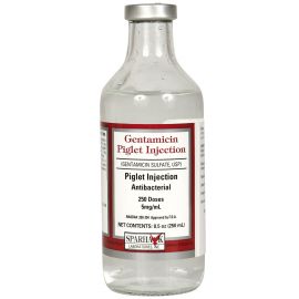 Gentamicin Injection for Piglets