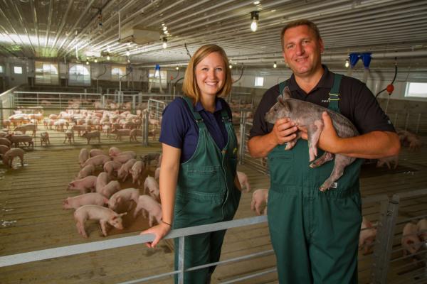 Investment in Prevention Medicine Pays Off for Pigs and Producers