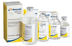 Draxxin Antibiotic