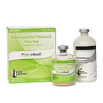 Parasail HPS Injectable Vaccine